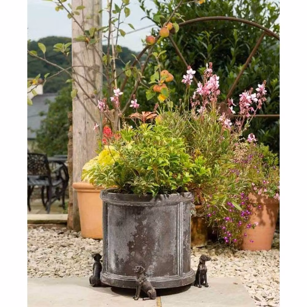 Jardinopia Weimaraner Dog Themed Planter Pot Feet in Bronze, Set of 3 – 5