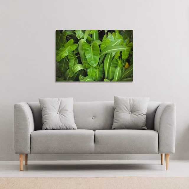 Benjamin Tate Design LTD Abstract Botanical Leaves Canvas Print, Green, W: 152 cm, H: 101 cm