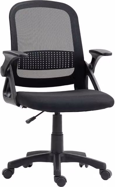 Rolipo Ergonomic Mesh Office Chair with Lumbar Support and Flip-Up Armrests in Black