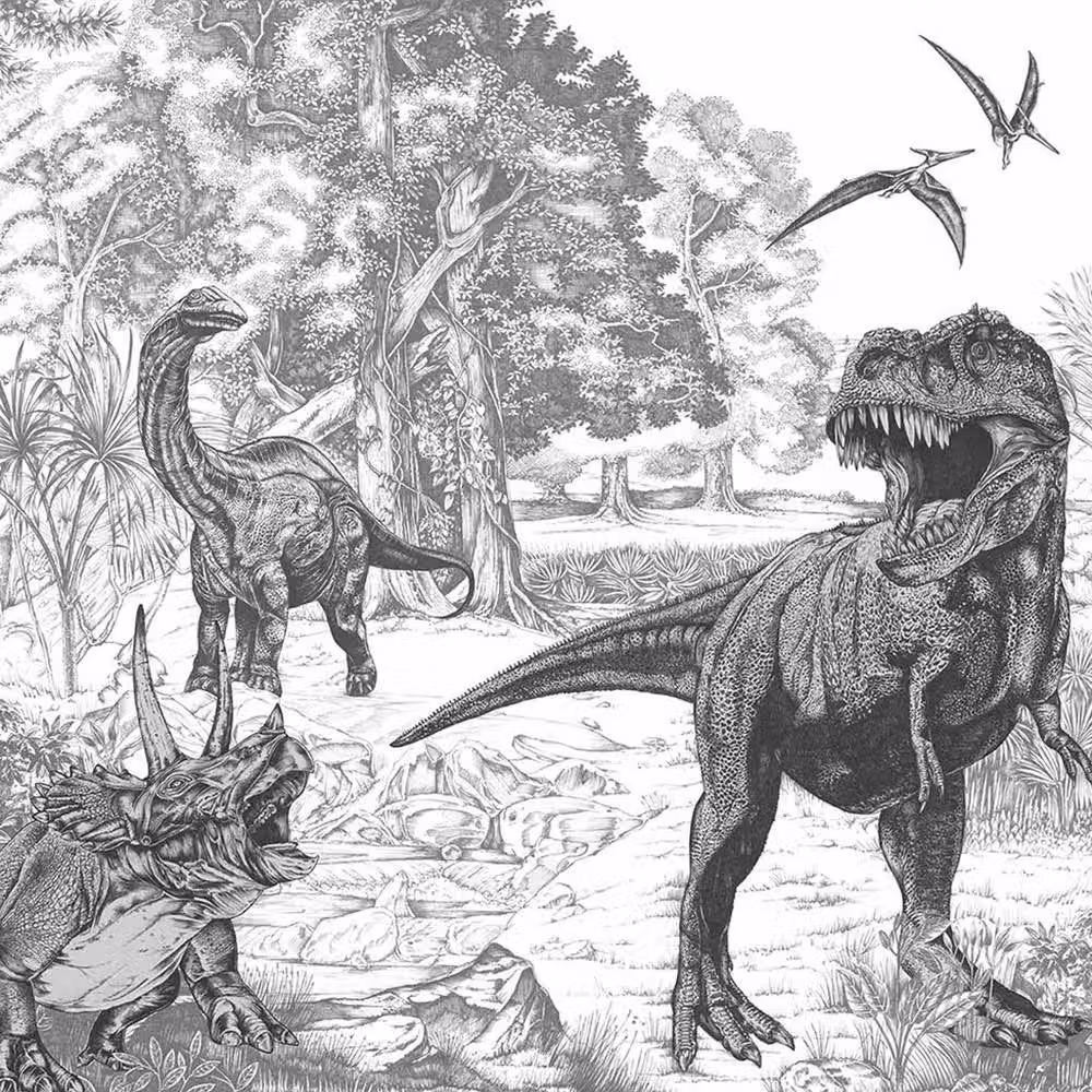 Superfresco Easy Jurassic Dino Mono Print Wall Mural, White, W: 3 m x H: 2.8 m – 2