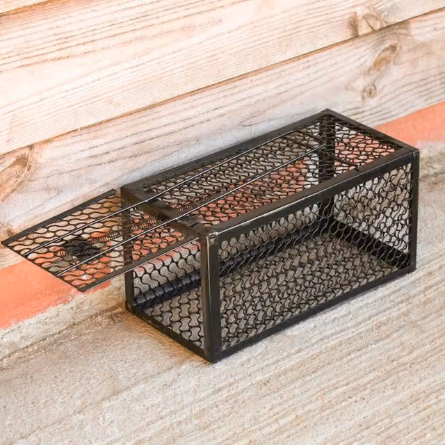 Livingandhome Set of 2 Black Metal Humane Mouse Traps