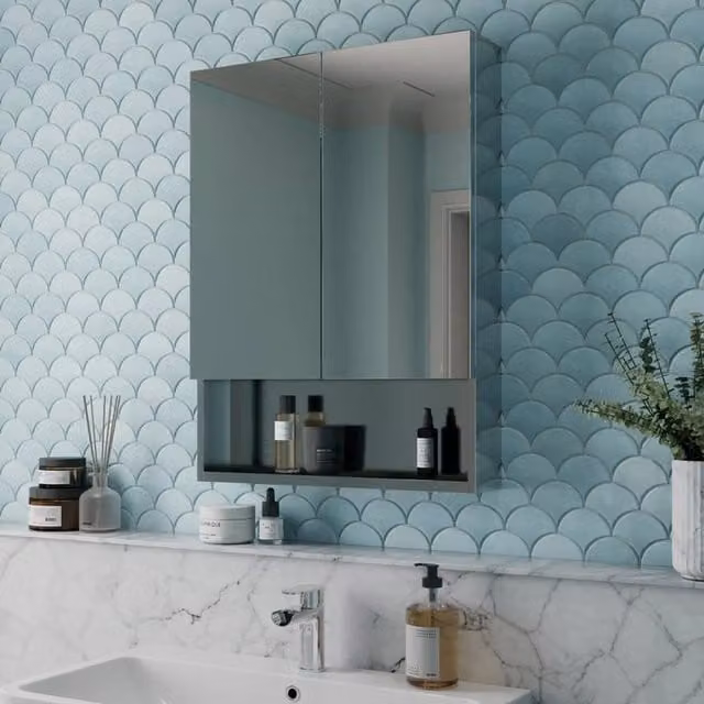 Bathwell Stahl Single Door Stainless Steel Mirror Cabinet with Internal Shelves in Silver