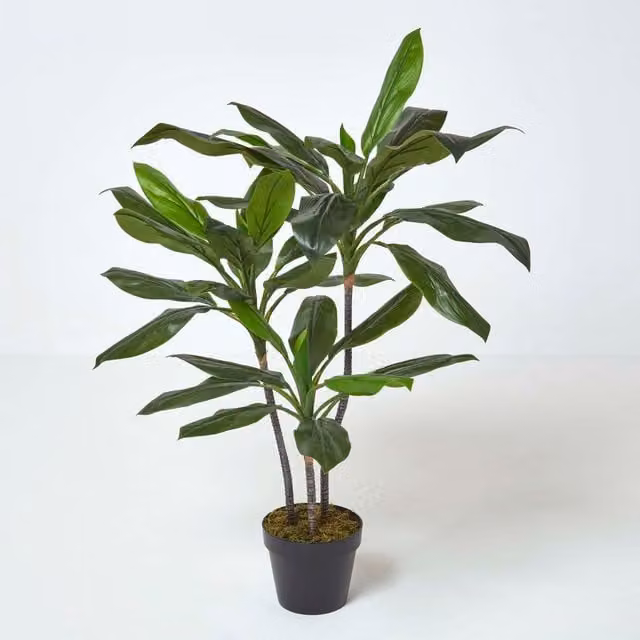 Homescapes Artificial Potted Cordyline Plant in Green and Black, Height: 100 cm