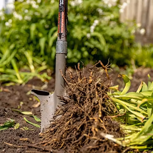 Radius Garden 23311 Root Slayer Perennial Shovel, Red – 4