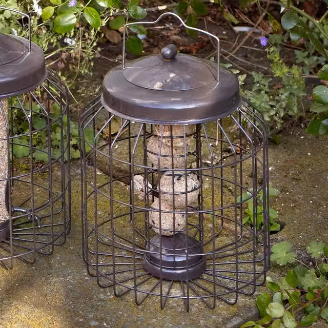 Gardman Heavy Duty Squirrel Proof Fat Snax Feeder in Brown