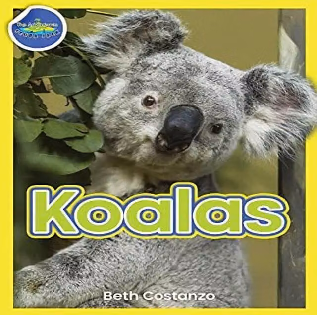 Beth Costanzo Koala Activity Workbook for children ages 4-8, multicolour paperback