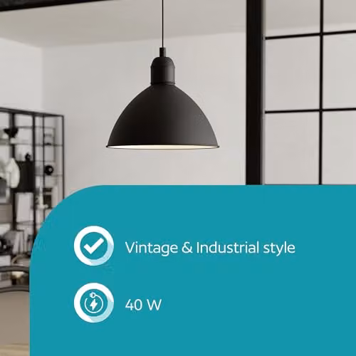 Eglo Priddy Black Metal Dome Suspended Pendant Light – 2