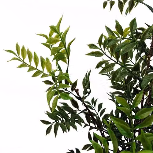 Leaf Green Artificial Oriental Bonsai Tabletop Tree H 60 cm x W 30 cm x D 30 cm – 3
