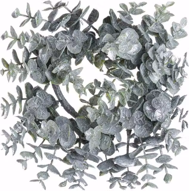Lemon Pavilion Furniture and Decor Small Frosted Eucalyptus Candle Wreath in Green, W25 x H25 x D25 cm – 1