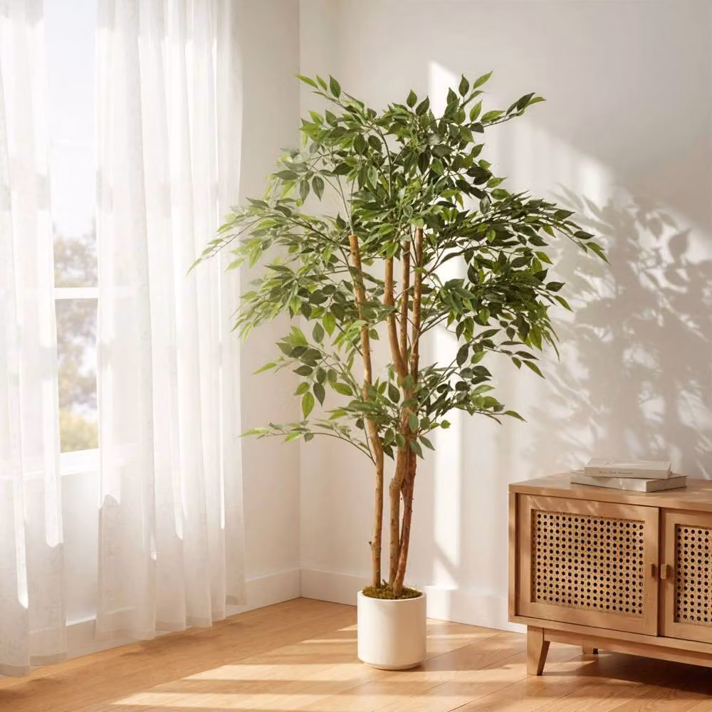 Wyld Haus Faluta 150cm Artificial Ficus Tree with Solid Wood Trunk in a White Pot, Green – 3