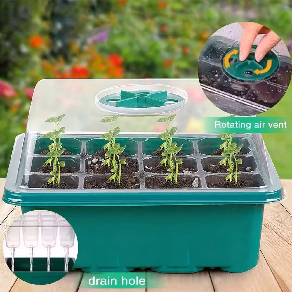 FLAVORA 10 Pack 120 Cell Propagator Growing Aid in Green and Transparent – 4