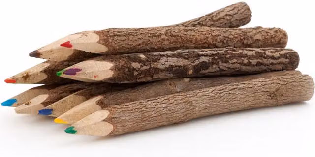 KDMK Set of 10 Multicolour Wood Twig Graphite Pencils for Children