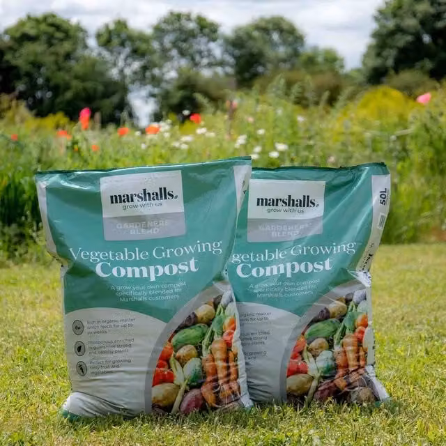Marshalls Garden Vegetable Growing Compost with 60% Peat and Slow-Release Fertiliser, 50 g