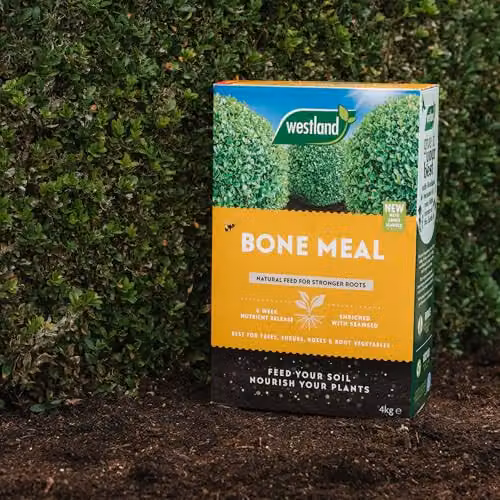 Westland Organic Bone Meal Slow Release Natural Soil Feed, 4 kg – 4