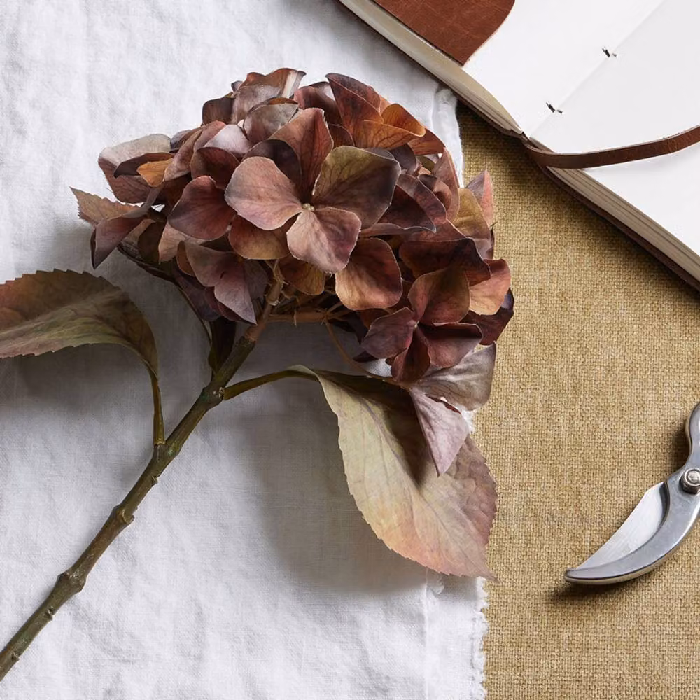 Lemon Pavilion Mixed Autumn Single Hydrangea Stem, Brown Plastic, W/D/H: 26 x 26 x 50 cm – 2