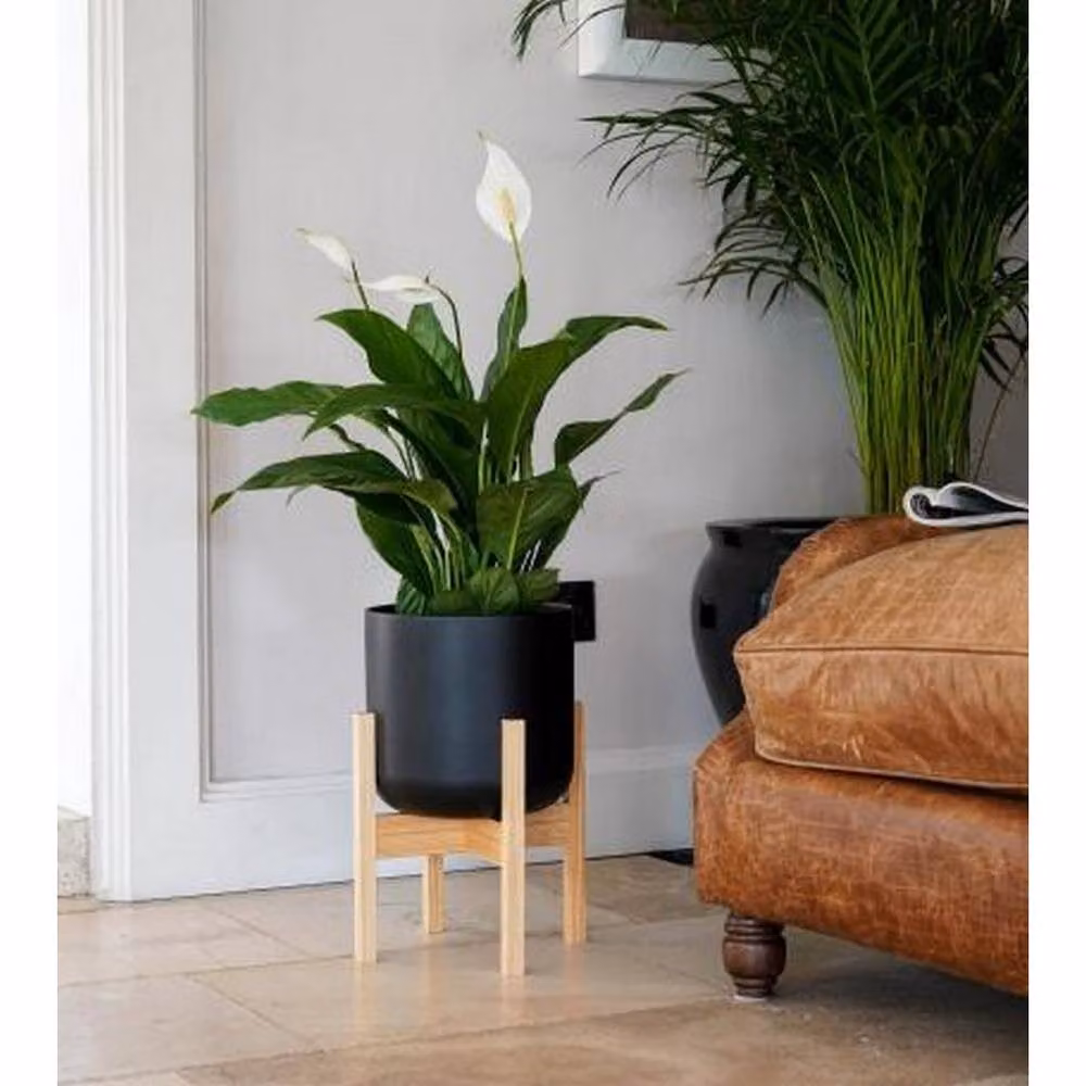 Lemon Pavilion Lisbon Ceramic Pot and Stand in Anthracite Grey, W26 x D26 x H43.5 cm – 2