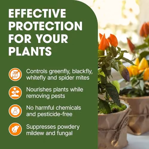 Doff Universal Bug Control Spray for Ornamental and Vegetable Gardens, 1 l – 3