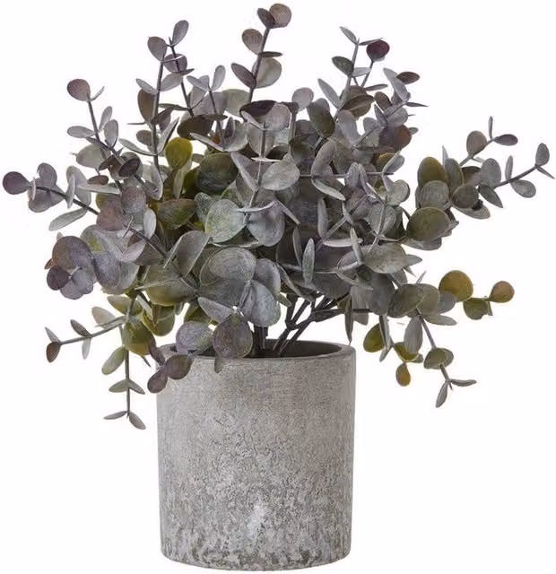 Lemon Pavilion Furniture and Decor Small Potted Eucalyptus Cinerea Plant, Green and Grey, Height: 22 cm – 1