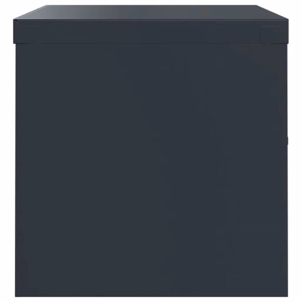 Berkfield Home Anthracite Metal File Cabinet with Hinged Doors and Lock, W/D/H: 90 x 40 x 40 cm – 2