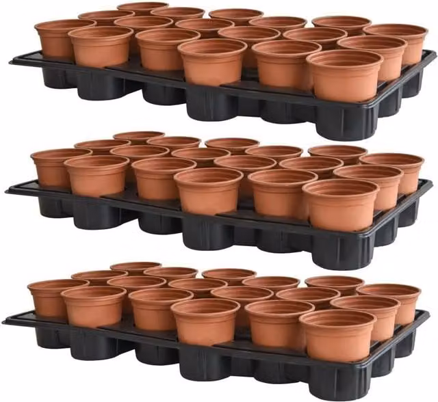 Thompson & Morgan Terracotta Plastic Shuttle Trays and Pots in Orange and Brown