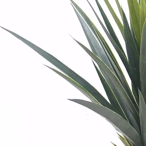 Leaf Green Artificial Agave Succulent Potted Plant, Height: 60 cm – 3