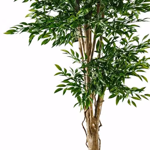 Leaf Realistic Artificial Japanese Fruticosa Ficus Tree in Green and Black, H 140 cm x W 70 cm x D 70 cm – 2