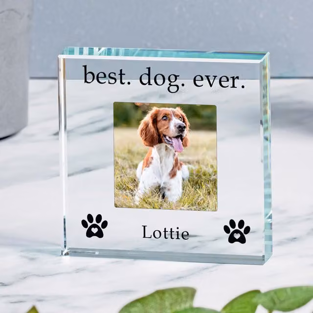 Uniqueful Personalised Best Dog Ever Glass Token Gift in Transparent and Beige