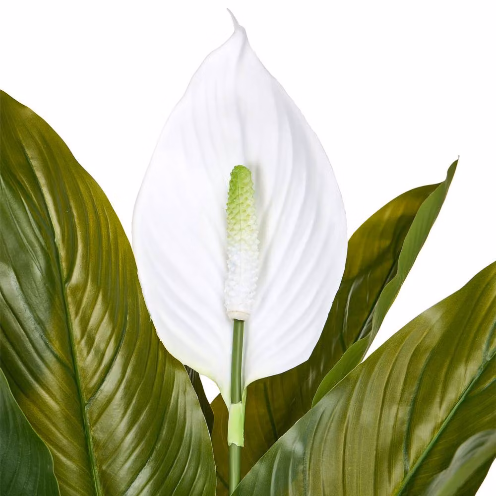 Wyld and Coco Faux Peace Lily Potted Tabletop Plant in Green and White – 3
