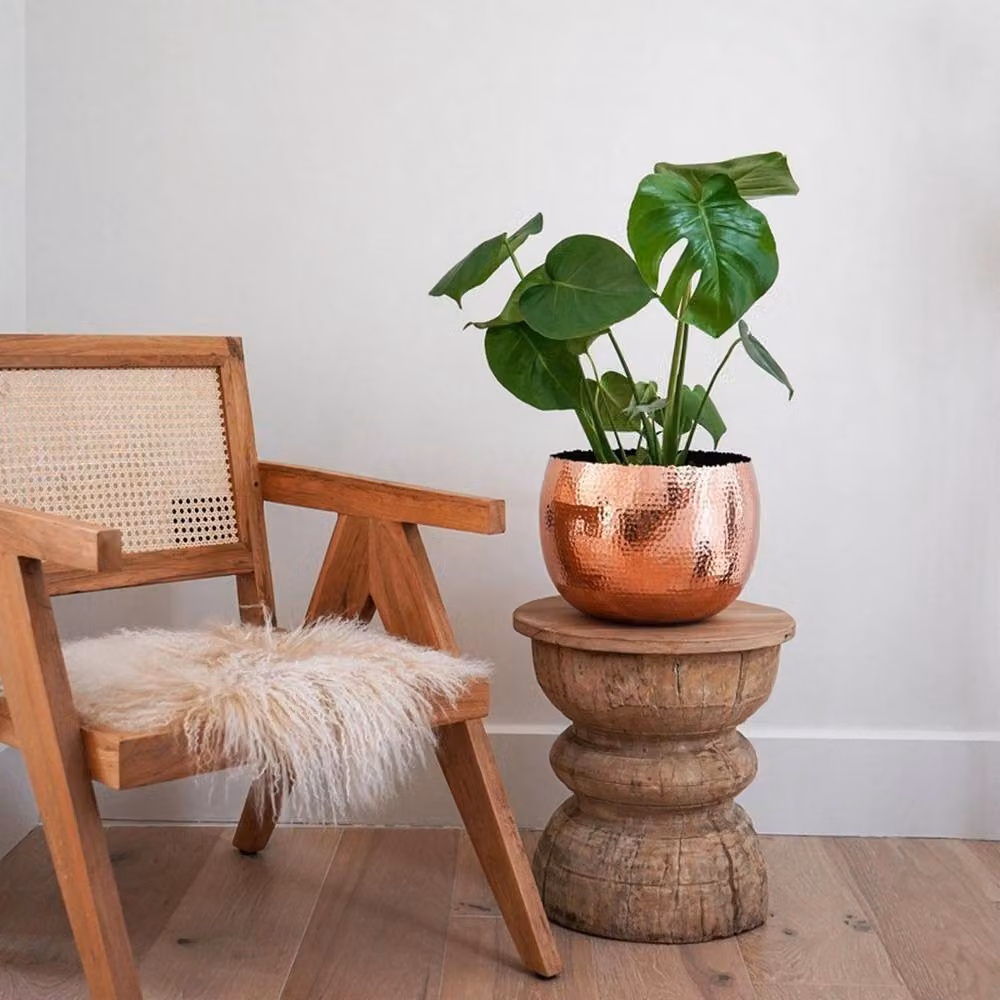 Lemon Pavilion Hammered Metal Round Tabletop Bowl Planter in Copper and Black, W: 19 cm, D: 19 cm, H: 14 cm – 3