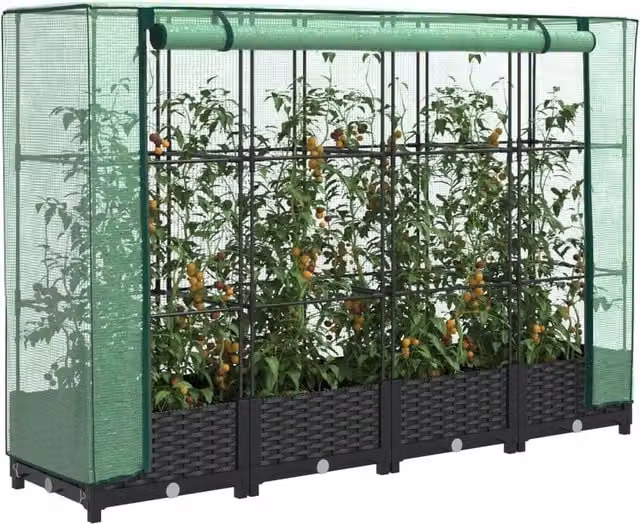 Berkfield Home Raised Bed with Greenhouse Cover in Black Rattan Look, W/D/H: 160 x 40 x 123 cm – 1