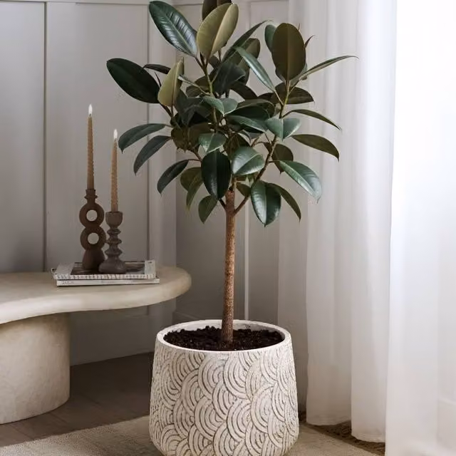 Wyld and Coco Round Fibre Clay Planter, Beige, Diameter: 31 cm – 1