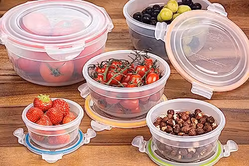 LocknLock Set of 5 Transparent Round Airtight Food Storage Containers with Silicone and Plastic Lids – 2