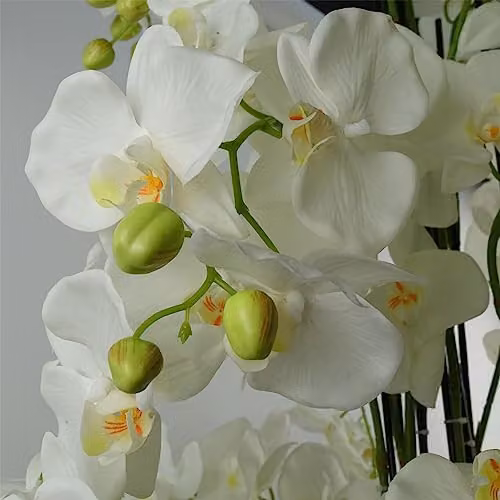 Leaf Design UK Realistic White Artificial Orchid Plant in a Green Pot, Height: 150 cm – 2