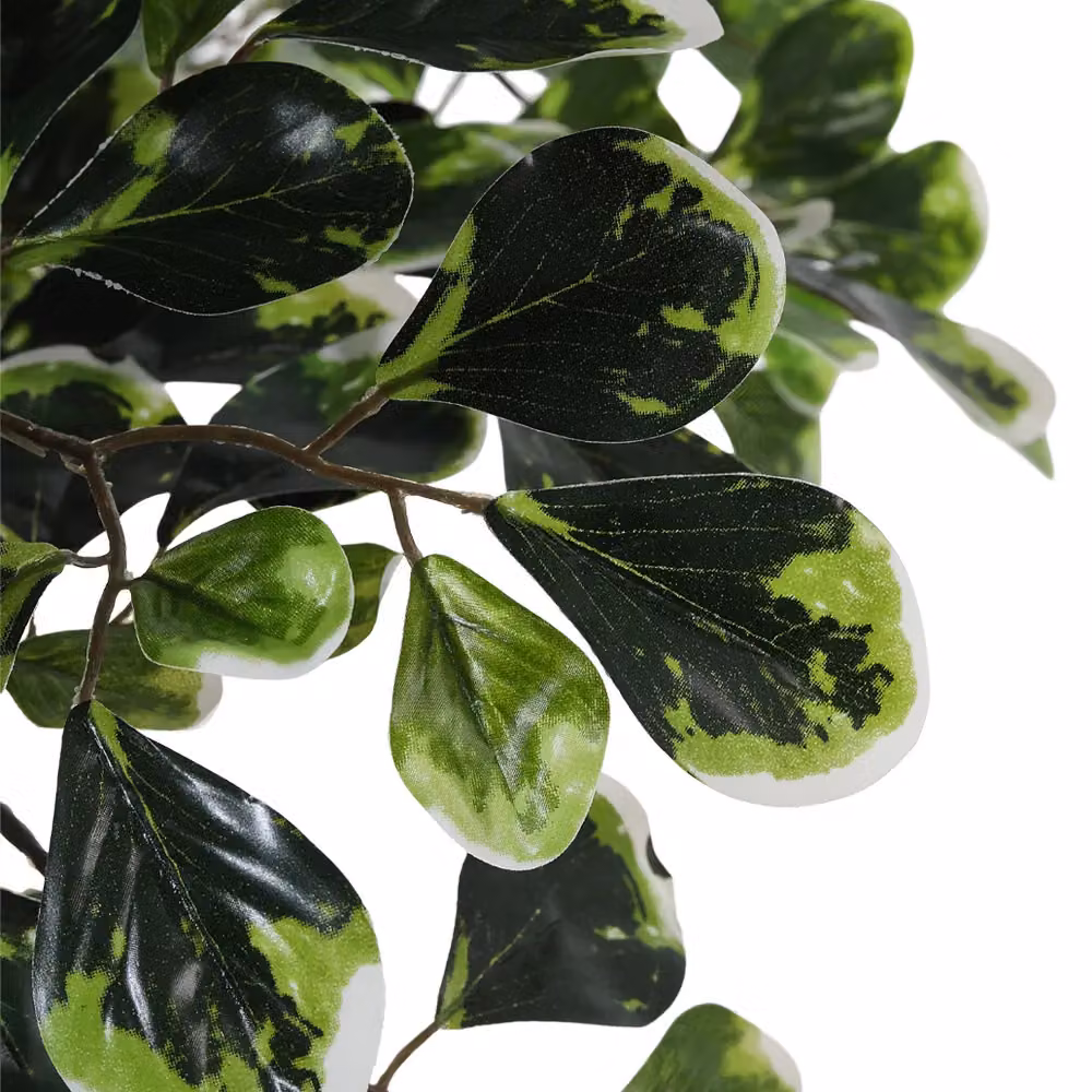Garden Sanctuary Green Artificial Zamioculcas Plant in Planter, Height: 185 cm – 4