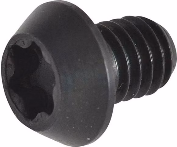 Trend Rt 3.5 Torx Replacement Screws in Blued Multicolour – 1