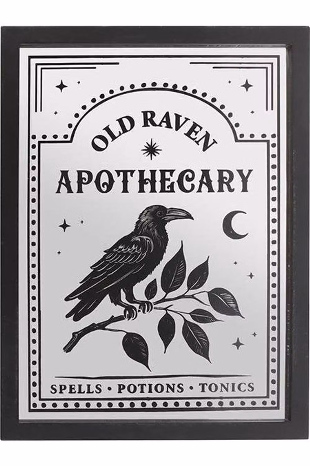 KDMD Old Raven Apothecary Mirrored Wall Art in Silver with Floral and Bird Design – 2