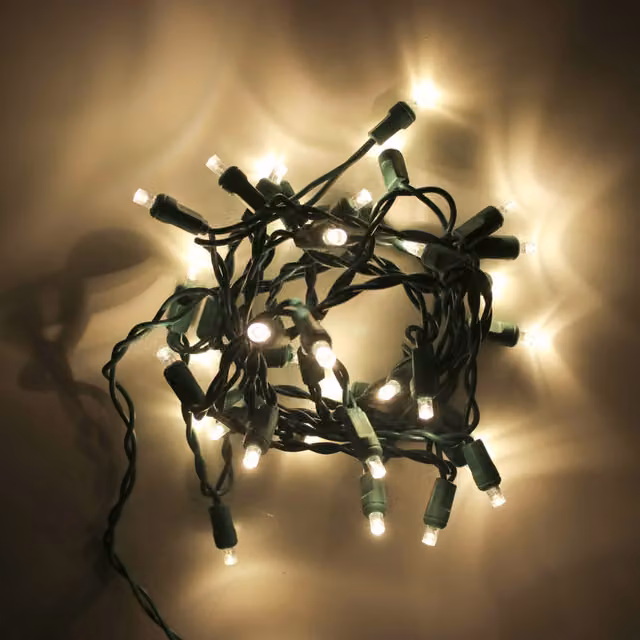 Garden Mile Warm White LED String Lights in Green