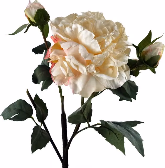 White Artificial Peony Flower with 1 Bloom and 3 Buds and Leaves