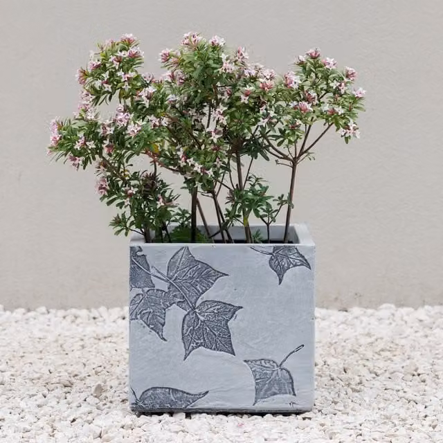 Primrose Stone Effect Garden Planter Tub in Grey, Diameter: 29.5 cm