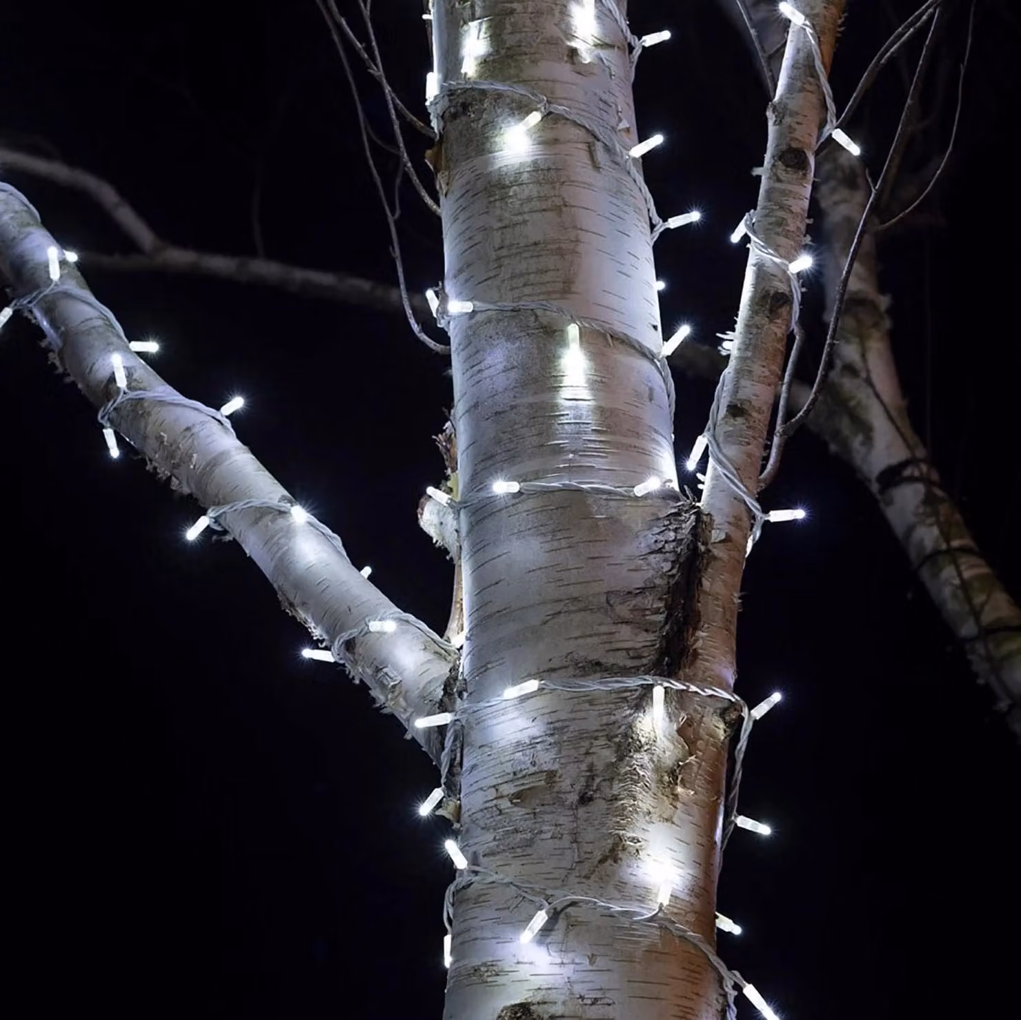 Pro Connect Warm White LED Connectable String Lights with White Cable, 50m