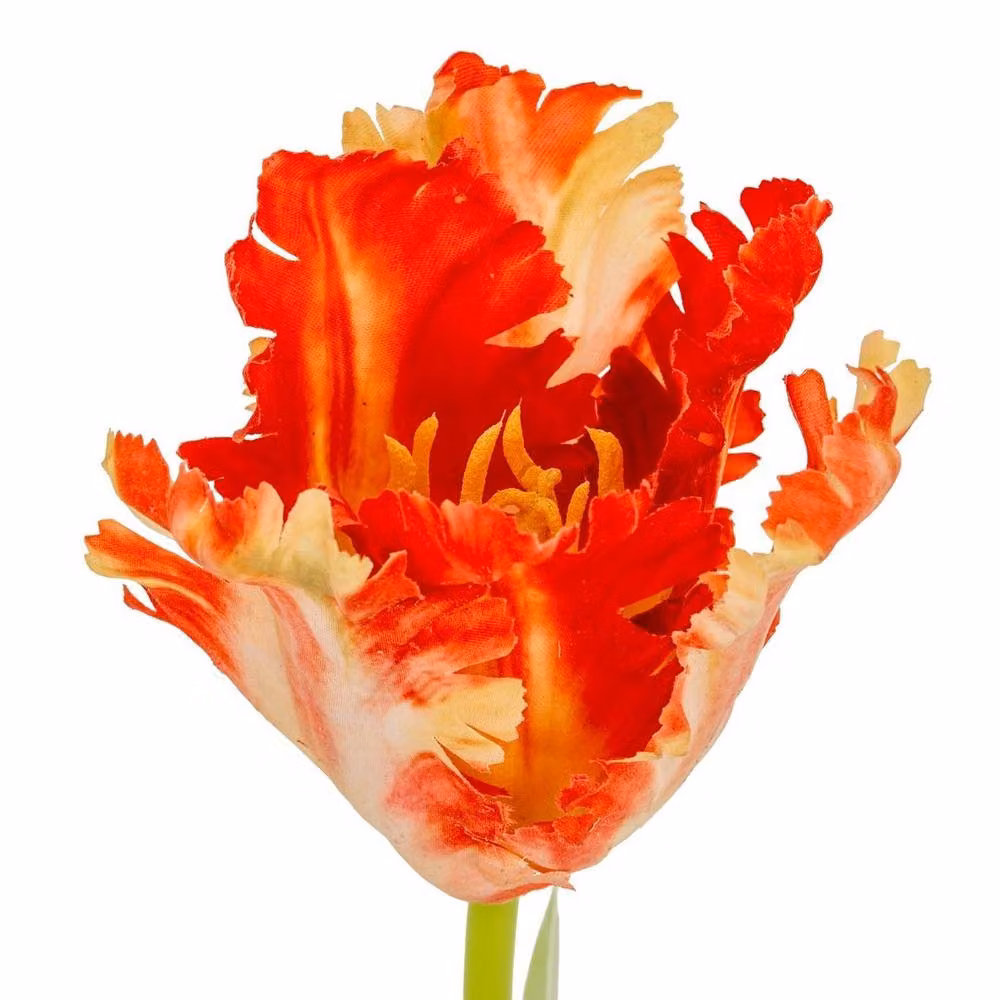 Lemon Pavilion Furniture and Decor Flame Orange Parrot Tulip Artificial Flower, Green and Orange, Height: 69 cm – 2