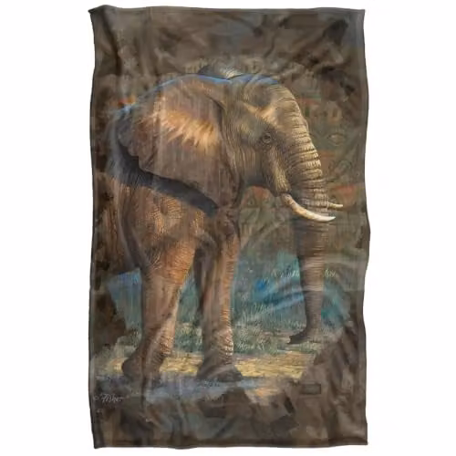 JQ Licensing Elephant Silky Touch Super Soft Fleece Throw Blanket, Multicolour, W: 91 cm, D: 147 cm – 1