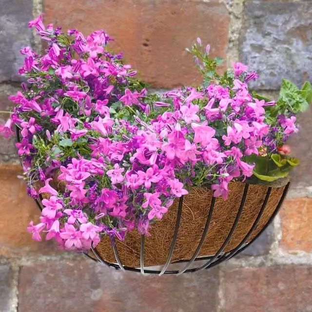 Marco Paul Brown Hanging Garden Flower Wall Basket Planter, Diameter: 40.64 cm