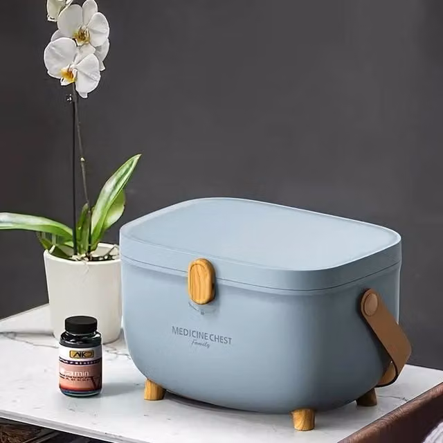 SPETLEK 2-Layer Blue Medicine Cabinet and Family Storage Unit