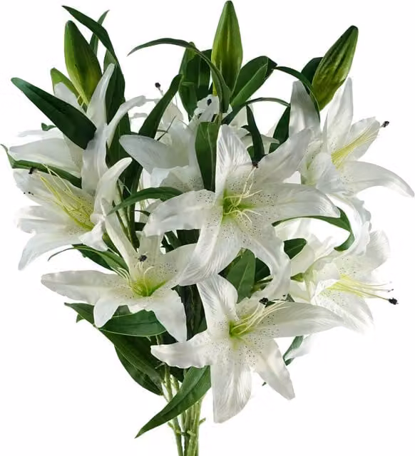 Pack of 6 Large White Silk Lily Stems with Leaves and 18 Flowers