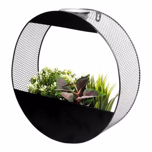 Gardenwize Round Solar Powered Wall Planter with Warm White LED Light in Black – 1