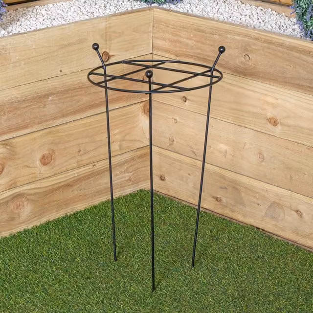 Tom Chambers Heavy Duty Black Steel Garden Plant Support Grow Through W: 60 cm, D: 35 cm