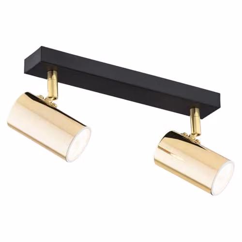 Argon18 Lagos 889 Modern Surface Mounted Spotlight in Gold/Brass with 2 x 5 W GU10 IP20 Rating