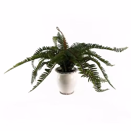 Leaf Design UK Artificial Green Plant in White Ceramic Pot, H 40 cm x W 13 cm x D 13 cm – 1