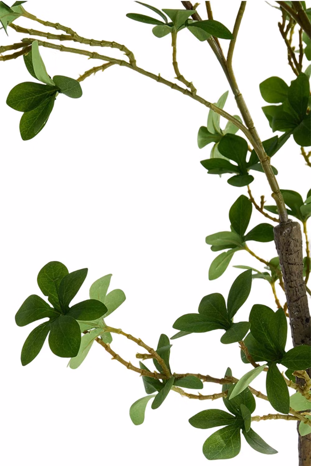 Garden Sanctuary Green Artificial Enkianthus Potted Tree Tabletop Decoration – 4